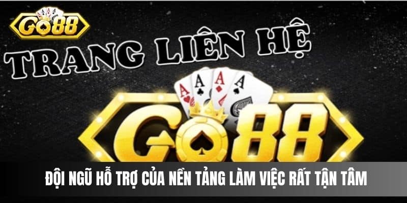 Đội ngũ hỗ trợ của nền tảng làm việc rất tận tâm