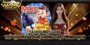 Những thuật ngữ ở trong tài xỉu MD5 Go88